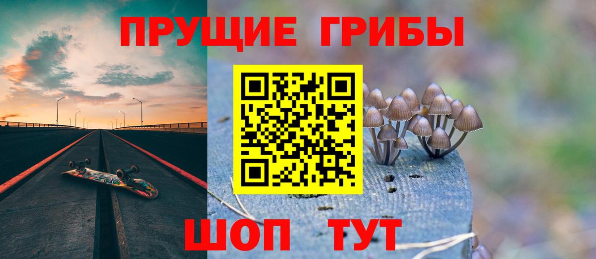 Псилоцибиновые грибы Magic Shrooms  Псилоцибиновые грибы мицелий  Нижний Новгород  Вход с VPN 